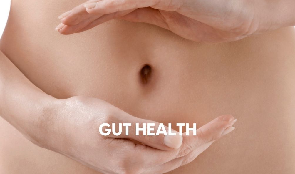 Gut Health