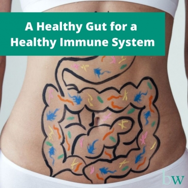 Gut Health and Immunity are Intertwined