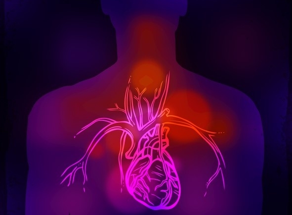 The Impacts of Stress on Hormones